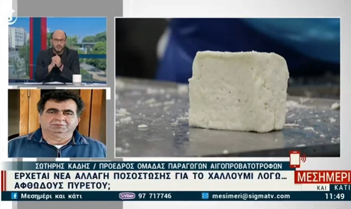 Ανησυχία για την ποσόστωση στο χαλλούμι - Τι λένε οι αιγοπροβατοτρόφοι